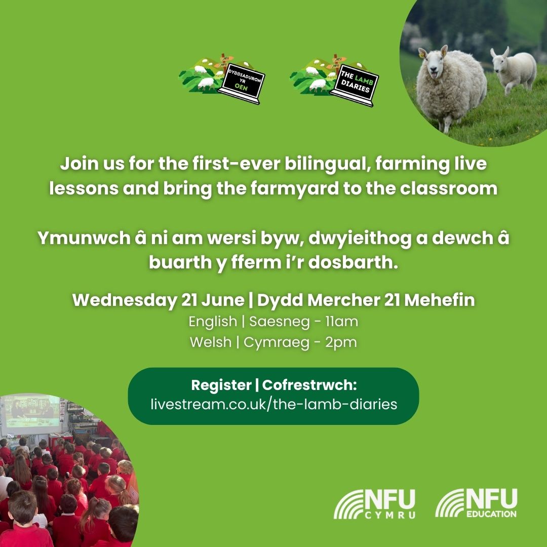 ⭐Meet the host ⭐ @SionedDavies98 from Powys is one of our hosts for our first ever farming live lessons in just over a week (21 June), available to primary schools across Wales. Tag your teacher friends to register their school for these live lessons ➡️ow.ly/bKxR50OMB5X