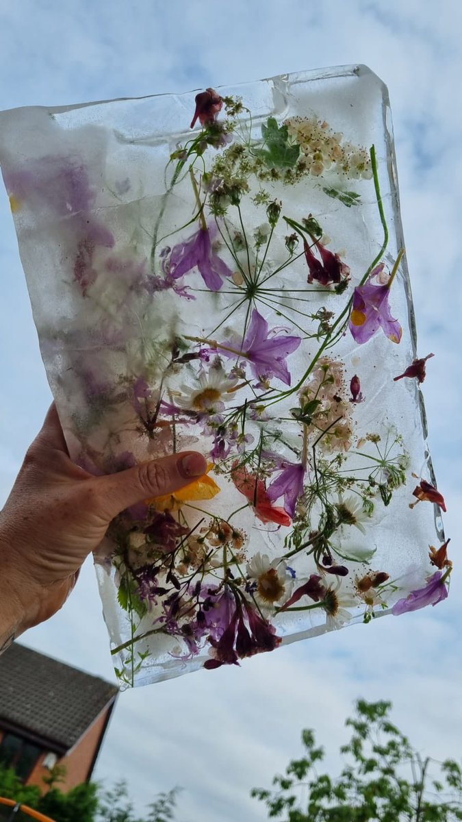 sigrandy's tweet photo. @CCCRPrimary Lola collected wild flowers on a walk, arranged them and created a floral frozen ice piece of artwork #summerhomework https://t.co/xCslkM3xJC