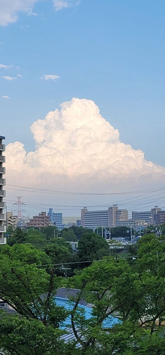 あの雲絶対中にラピュタあるネ