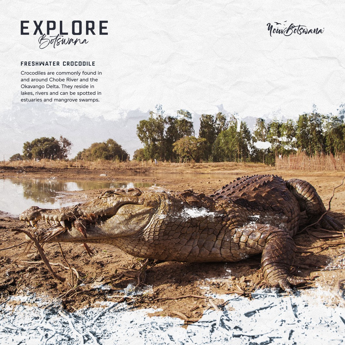 #botswana #explorebotswana #tourism #africa #marketing #creative #communications #travel