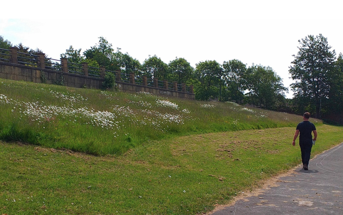 lpoolcouncil's tweet image. 6/10 🎯 This supports our target to become a Net Zero Carbon city by 2030. Through carbon storage and green infrastructure, we’re taking steps towards this goal every day. #NetZero2030

liverpool.gov.uk/communities-an…