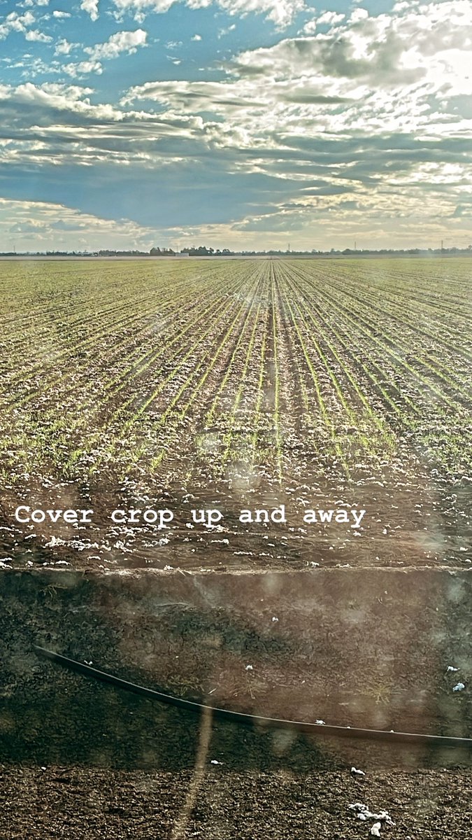 Corey Hart tweet media