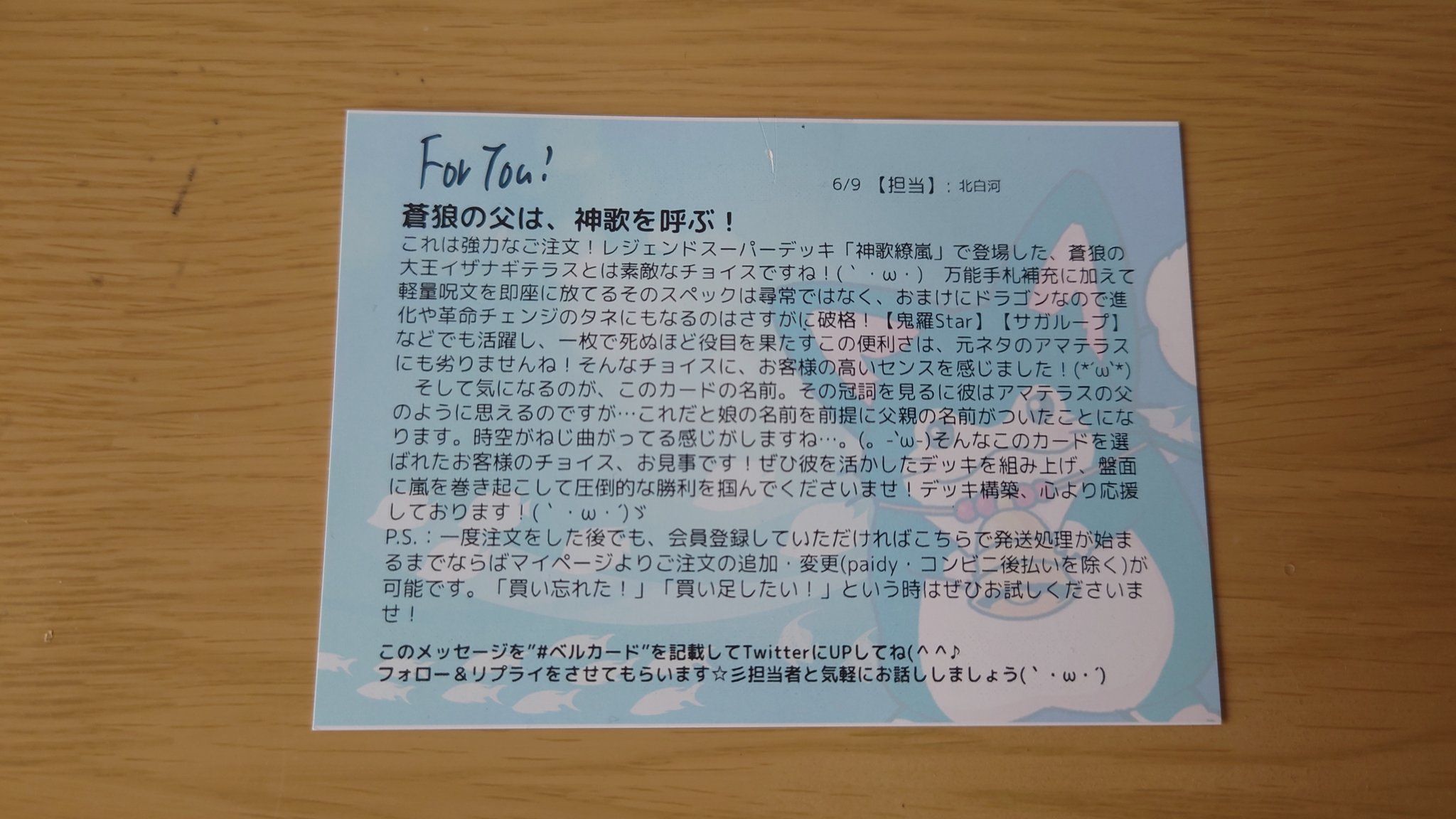 アンピシリーナ ソディカ テウトのリーフレット