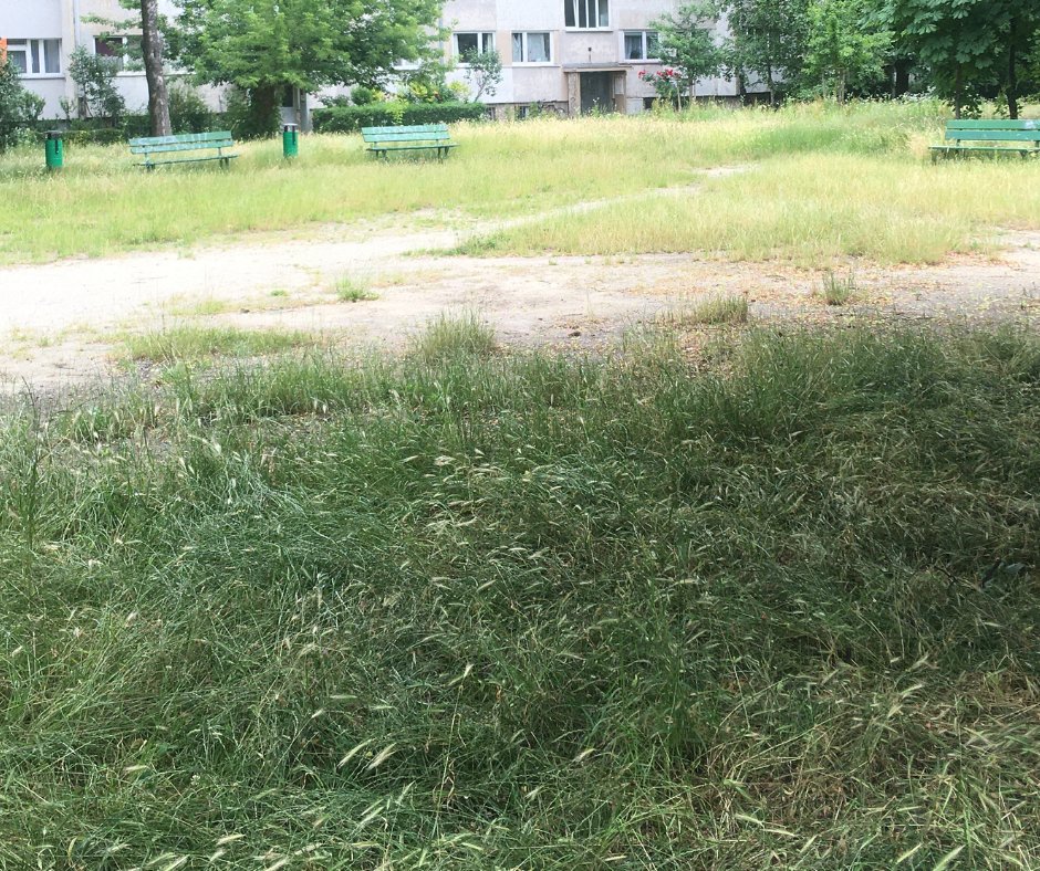 👉Niebawem startujemy z ogłoszeniem📣 przetargu na częściową rewitalizację podwórka przy ul. Zielonogórskiej.🌿
Po remoncie dzieci,🪁 młodzież i seniorzy będą mogli miło spędzić tam czas.🍃