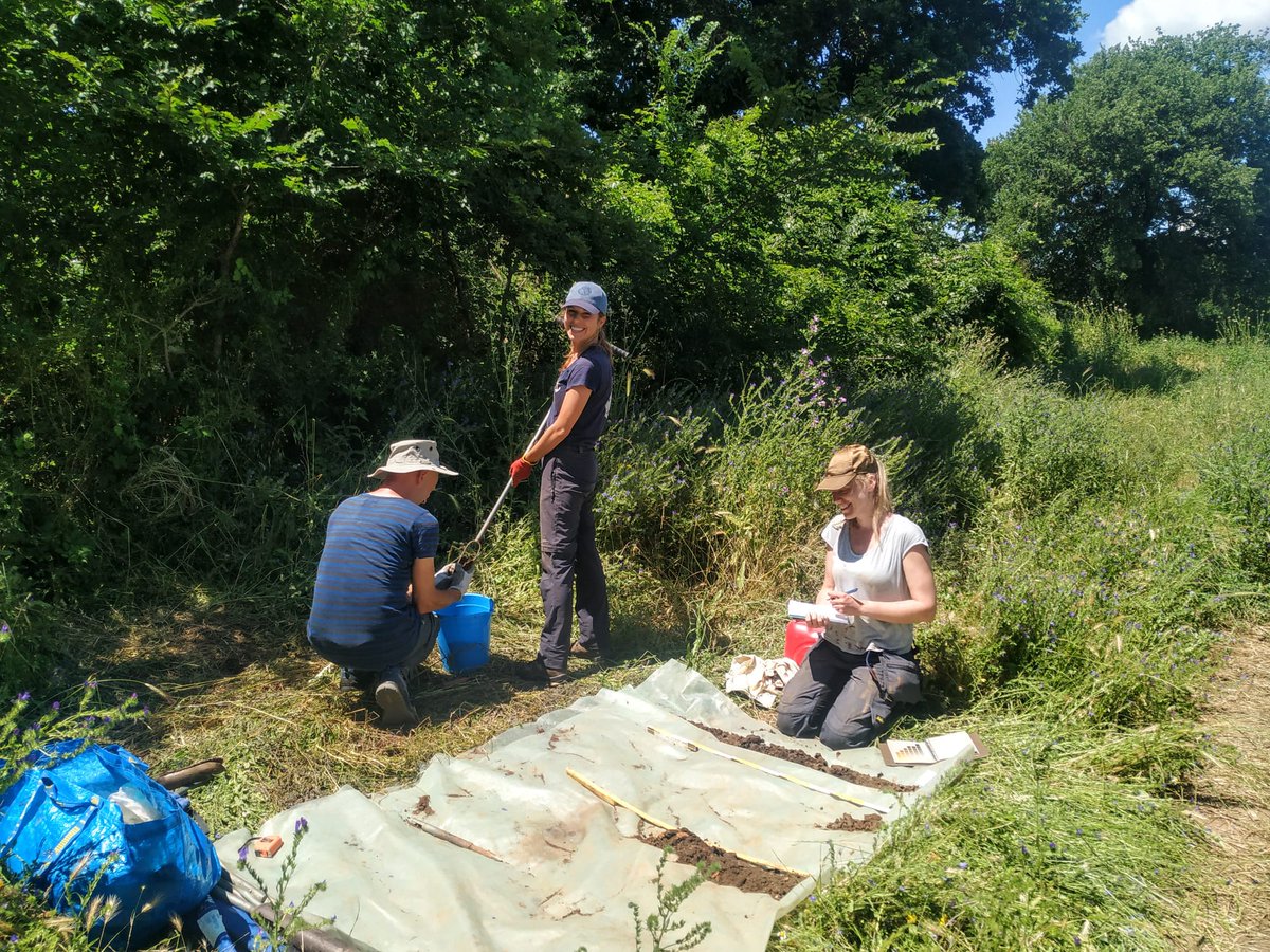 The team from Ghent university at work with a new season of augering across the site @FaleriiNovi #bsr #bsrome #britishschoolatrome #bsrarchaeology