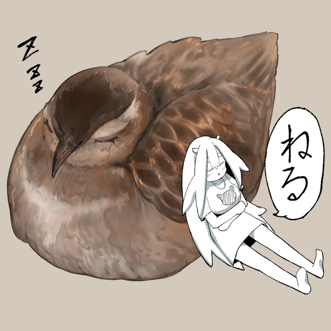 Eudromias morinellus コバシチドリ
