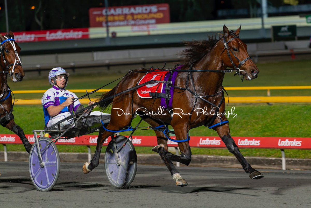 Dan Costello (@danracingwrap) on Twitter photo It was Aardies Flash with <a href="/McmullenPeter/">peter mcmullen</a> playing catch me if you can taking out race 9 <a href="/TheCreekAlbion/">The Creek</a> for trainer <a href="/ChantalTurpin/">chantal mcmullen</a> <a href="/turpinmcmullen/">TurpinMcMullenRacing</a> It was Aardies Flash with <a href="/McmullenPeter/">peter mcmullen</a> playing catch me if you can taking out race 9 <a href="/TheCreekAlbion/">The Creek</a> for trainer <a href="/ChantalTurpin/">chantal mcmullen</a> <a href="/turpinmcmullen/">TurpinMcMullenRacing</a>