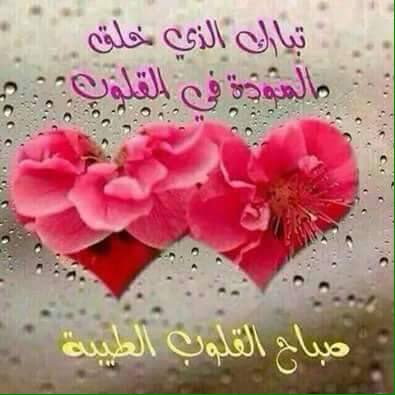 همس المشاعر tweet media