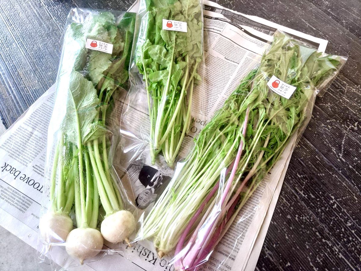 doppo_farm's tweet photo. 本日6/13(火)の出荷のお知らせです。
本日の野菜は赤タマネギ、コカブ、水菜、ワサビ菜、ルッコラなど。
フレスト松井山手店、ひらかたもより市、もより市樟葉駅にてお求めいただけます。
よろしくお願いします。
#枚方
#穂谷
#野菜
#ひらかた独歩ふぁーむ https://t.co/2o0DkE4mrW