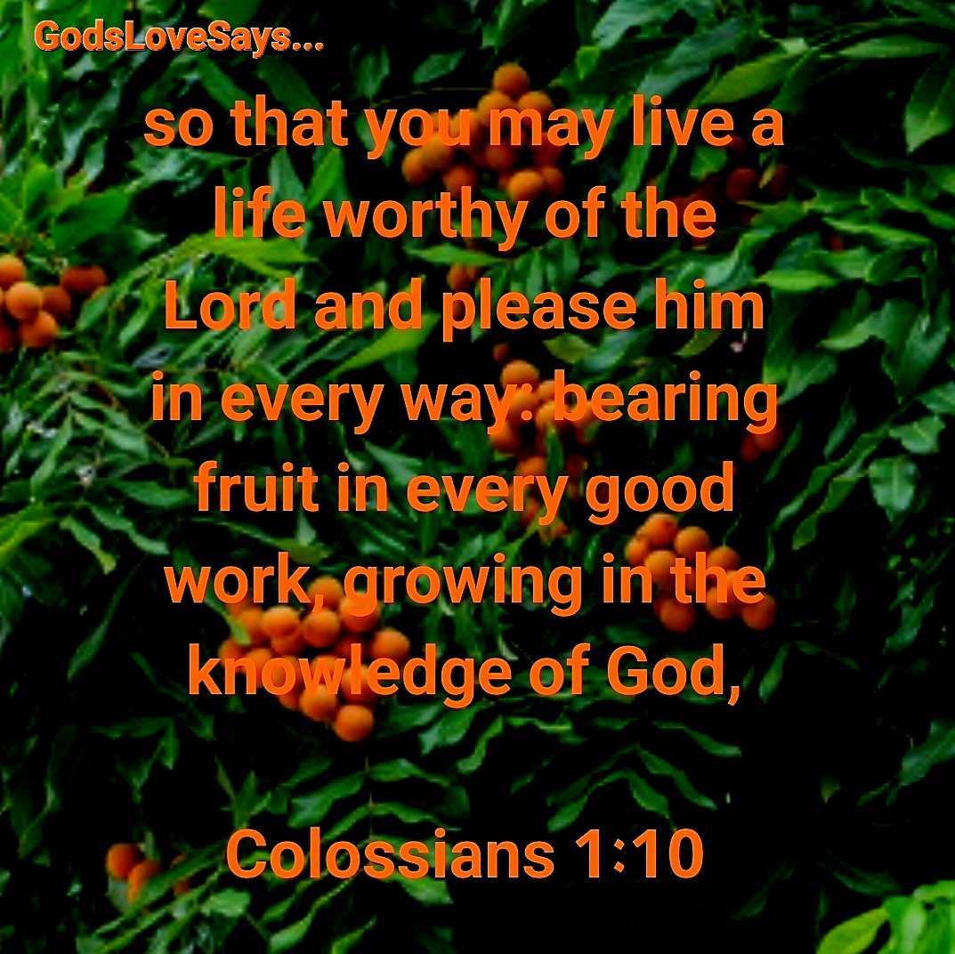 HornettPam's tweet image. so that you may live a life worthy of the Lord and please him in every way: bearing fruit in every good work, growing in the knowledge of God,
Colossians 1:10
#GodsLoveSays #Colossians #live #life #worthy #Lord #please #bearingfruit #goodwork #growing #knowledge #God