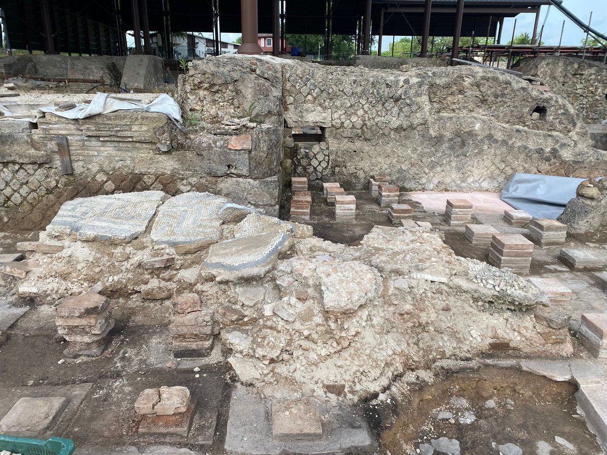 😍 Oggi vi deliziamo con alcuni scatti “goduriosi” dal caldarium maschile dove sono in corso restauri per il consolidamento degli strati di crollo. 

Ben visibile un lacerto del pavimento a mosaico in tessere bianche e nere. 

#Aquinum2023 #archeologia #archeosocial #mosaico