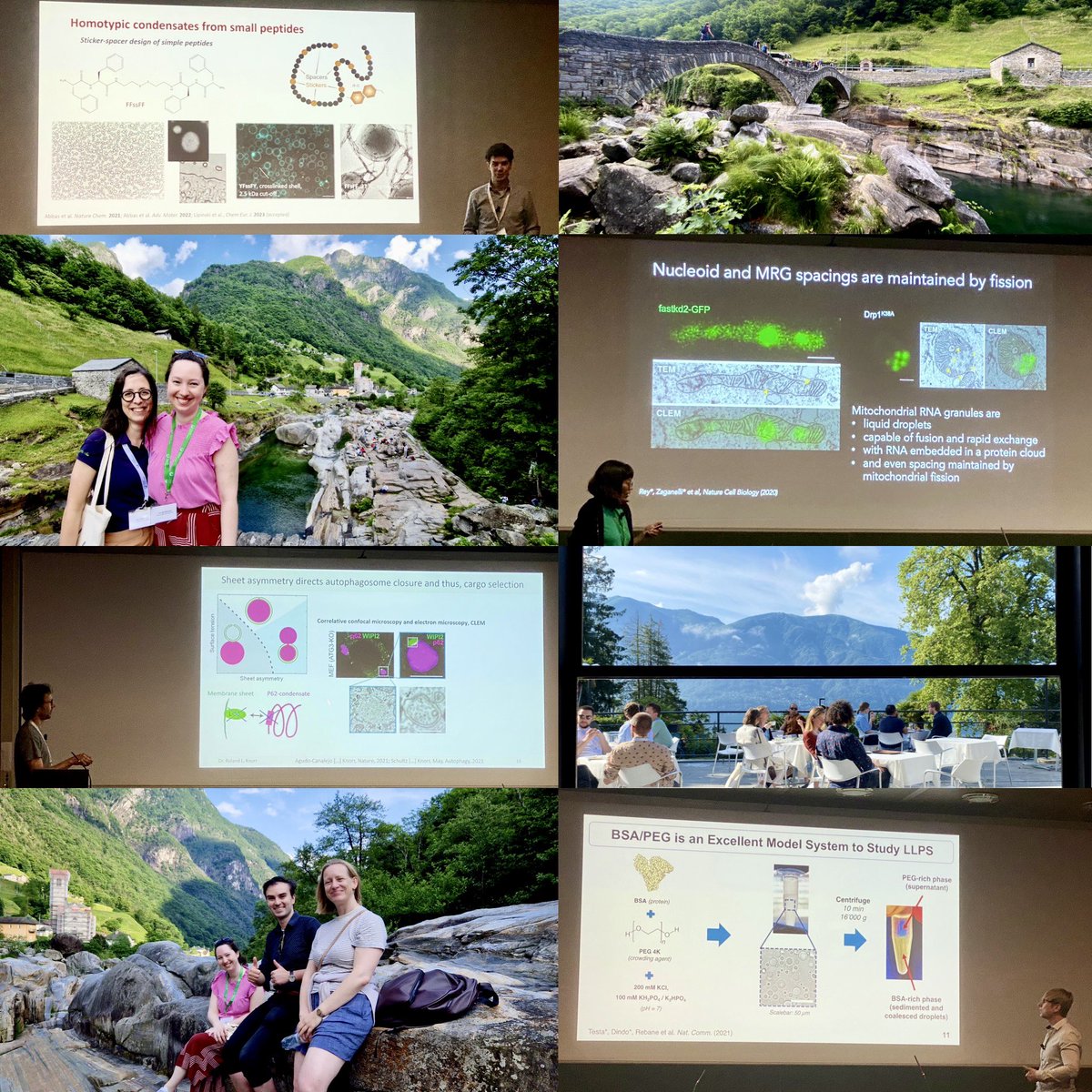 Our #EM expert @Vera_Kissling represented NICe & @Empa_CH @ the Cellular Matters conference in Monte Verità & showed her #imaging work on #selfassembling protein oligomers, reversible #amyloid fibrils & the novel #MXenes! Thanks to the organizers @ETH_en! #BringingMaterialstoLife