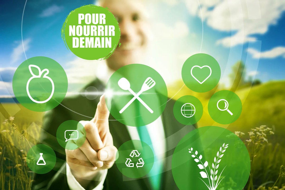 Les 6 enjeux de l’avenir de l’agro-alimentaire : innovation et durabilité au cœur de la transformation   buff.ly/41HgjVo 

Vous sentez-vous concernés tout cela (gaspillage alimentaire, durabilité…) ? 

#nutractiv  #alimentationdurable #nutriscore