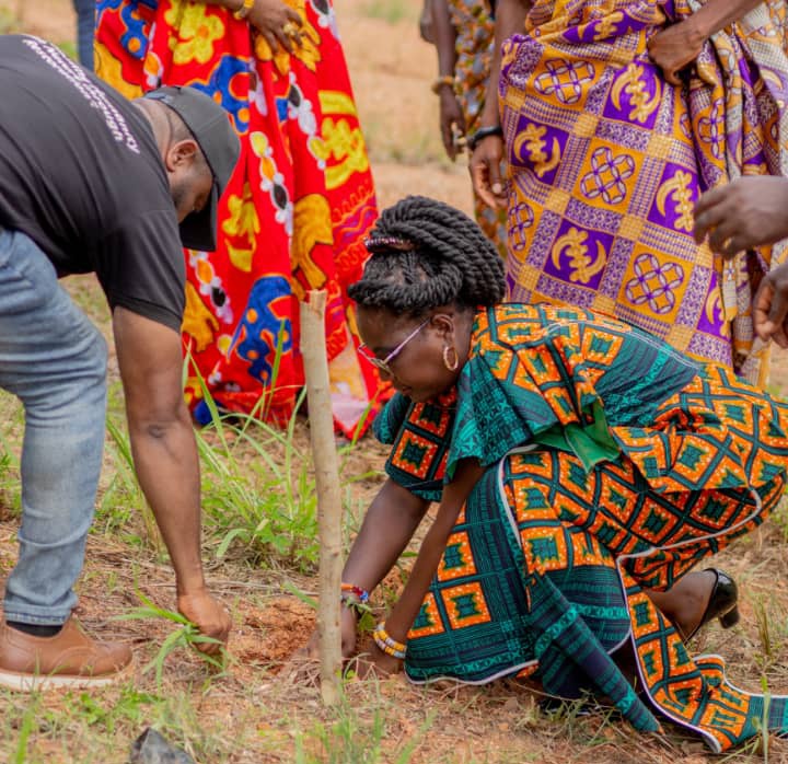 The Green Republic Project tweet media