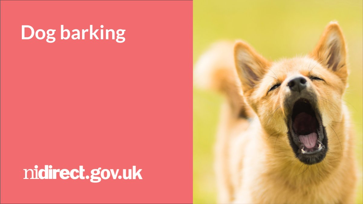 DAERA on Twitter "RT nidirect Is your dog barking too much? For