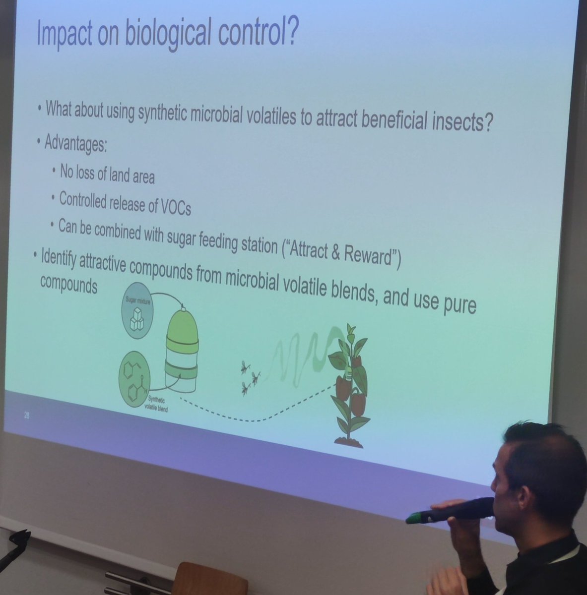 The 2nd day of #CNIE 2023 opened with presentation by @bartlievens1 : 
👉Nectar-inhabiting #microbes: hidden players in plant-insect interactions, important impact on #pollinators and #parasitoids 
🐝🦋🌸🦠

Promising results for the future of #biocontrol against insect pests