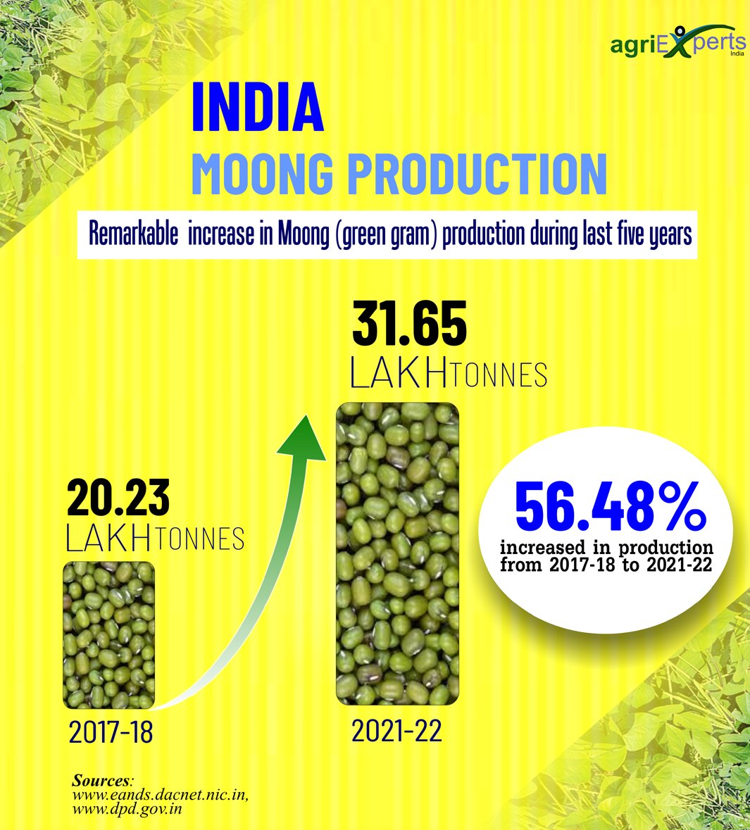 Farmer’s friendly policies of Govt. of India, hard work of farmers and commitment of researchers yielded increase in MOONG (green gram) production by 56% in last five years in the country.
@icarindia @AgriGoI @IcarIipr @rajvarshney @ICRISAT  @PIBAgriculture @NITIAayog @IPGAPulses