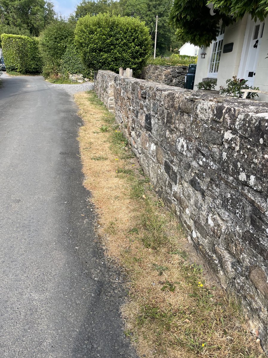ShaunKiddell's tweet photo. Tale of two halves! From the verges in a Devon country lane. I signed up to No Mow May ( now Let June Bloom ) and my neighbour directly opposite didn’t. #helpingnaturethrive #dartmoornationalpark https://t.co/AHN6wSWtjW