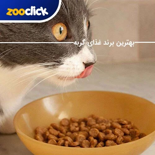 zooclick's tweet photo. فروش بهترین برندهای #غذای_گربه در پت شاپ #زوکلیک

https://t.co/Y2LRYy4O5p

09902177725📱
02122210188 📞 https://t.co/8wVpPhQD5X