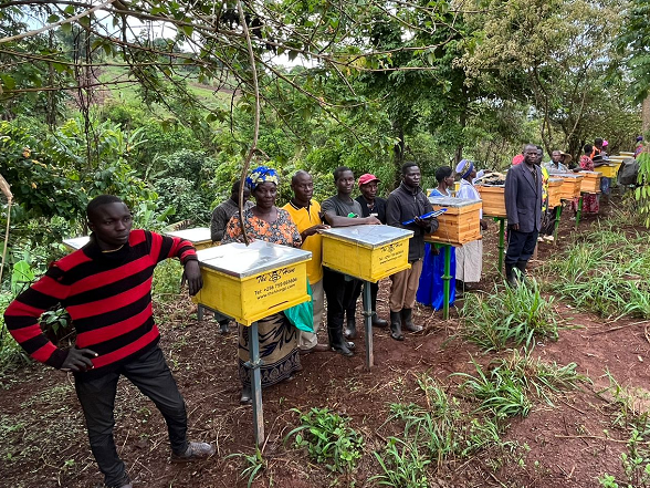 The Motokai Communal Land Association in Uganda’s Murchison landscape took an important step in scaling up sustainable honey production. 🐝 
Read more: ecotrust.or.ug/motokai-commun…

@ECOTRUST_Ug @IUCNNL @Tropenbos @wwfnederland  #MoMo4C #climatechange #greenfinancing