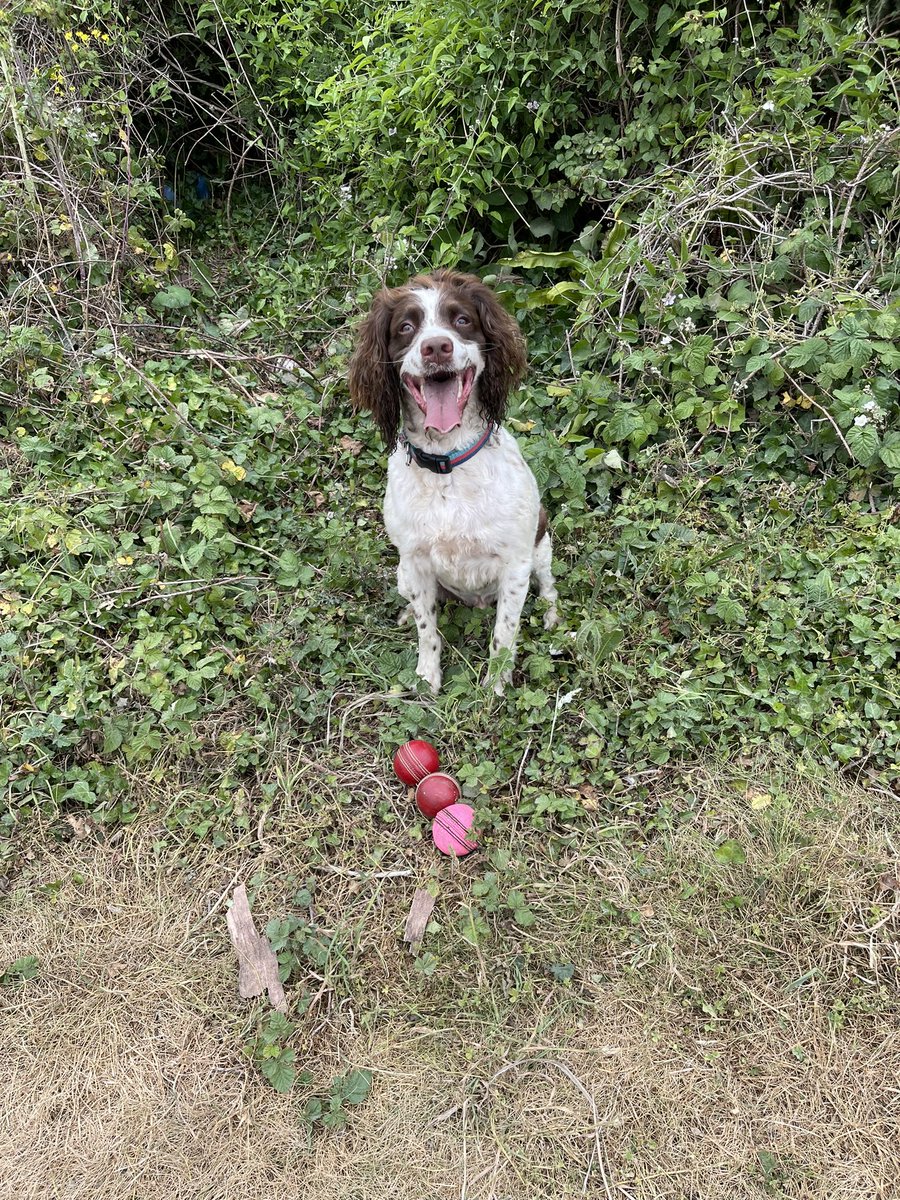 keith kemp tweet media