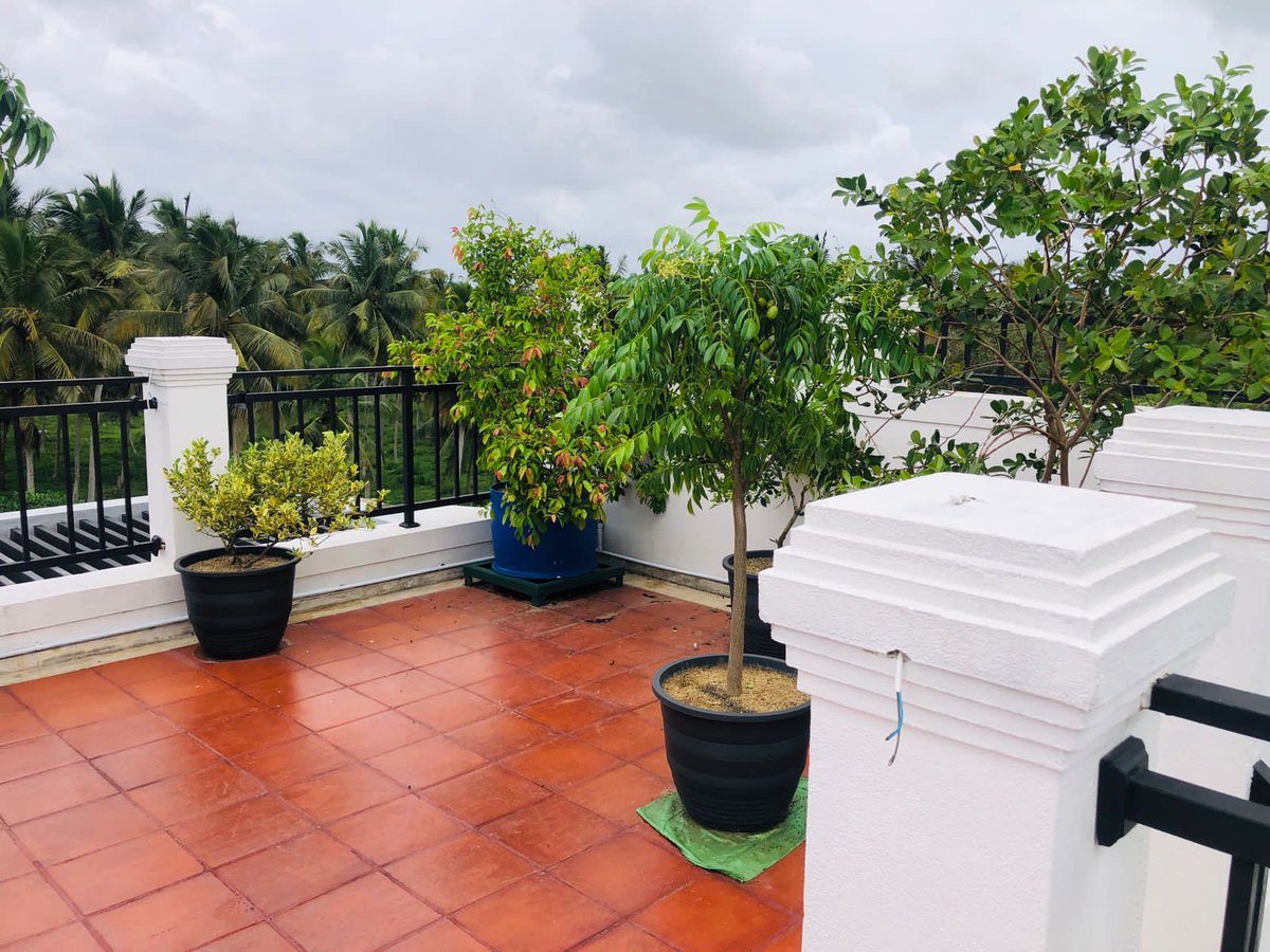 easywaytop's tweet photo. 📷A modern 4 storey valuable  house in Millennium city Luxury apartment.
📷A land of 12.8 perches
📷land area of about 4000 square feet
Rs.68 million and the price is negotiable
more details contact us
Call          -  070 53 88 656
whatsapp - 076 53 88 656 https://t.co/2UUej9hG0g