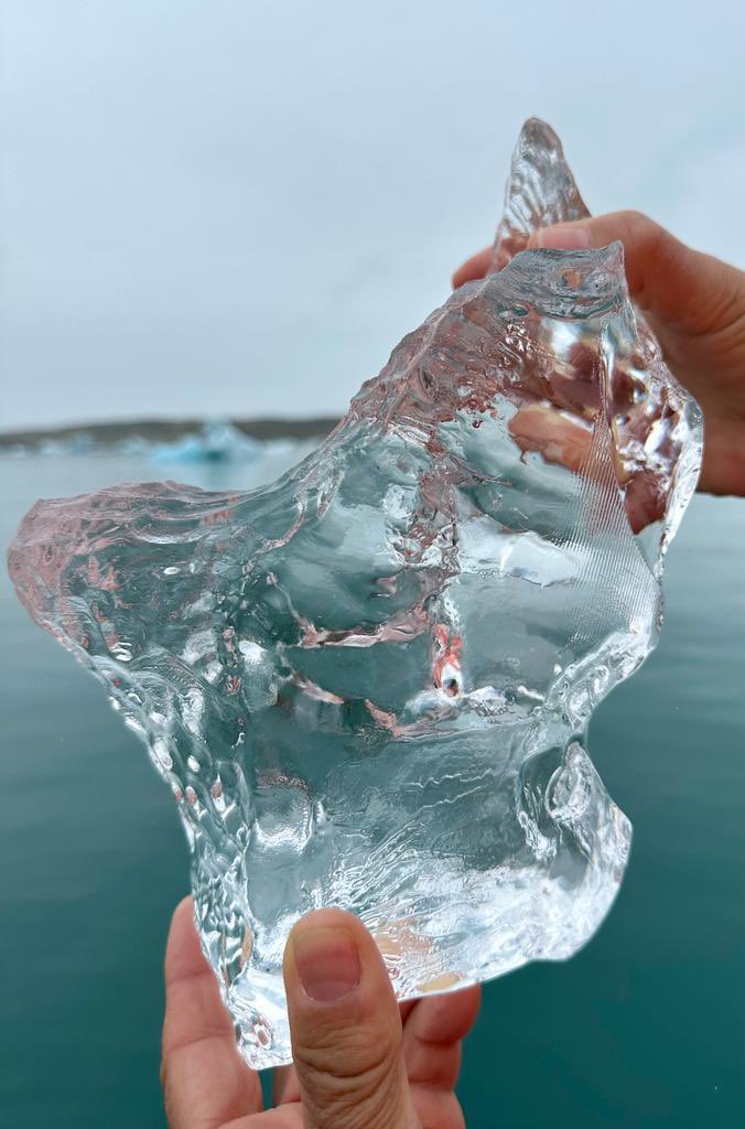 Polar Raid tweet media