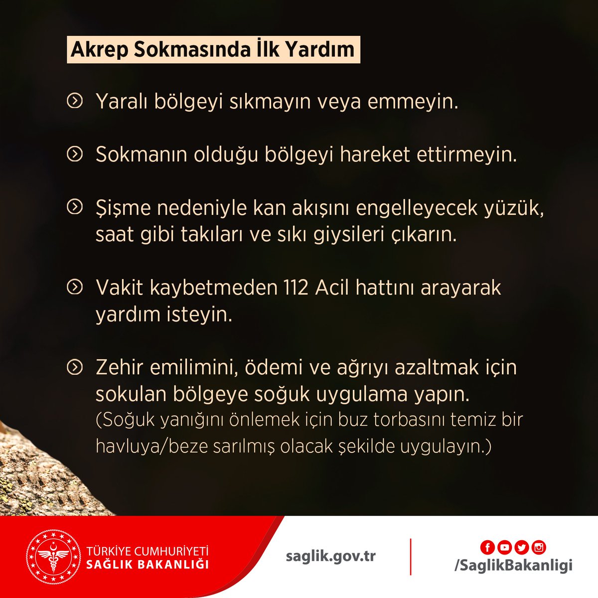 Akrep Sokmasında İlk Yardım
- Yaralı bölgeyi sıkmayın veya emmeyin.
- Sokmanın olduğu bölgeyi hareket ettirmeyin.
- Şişme nedeniyle kan akışını engelleyecek yüzük, saat gibi takıları ve sıkı giysileri çıkarın.
- Vakit kaybetmeden 112 Acil hattını arayarak yardım isteyin.
- Zehir