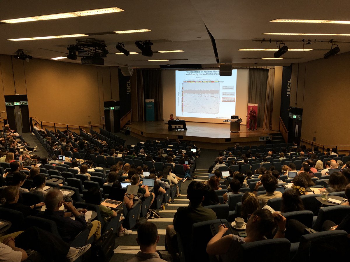 rco_slms_ucl's tweet photo. Great to see so many people at the @ucl Neuroscience Symposium morning session!
Connecting the community from across the #UCLNeuroDomain https://t.co/5eliO6UTh1