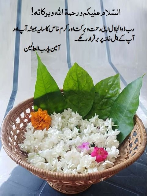 Abdul Razzaq tweet media