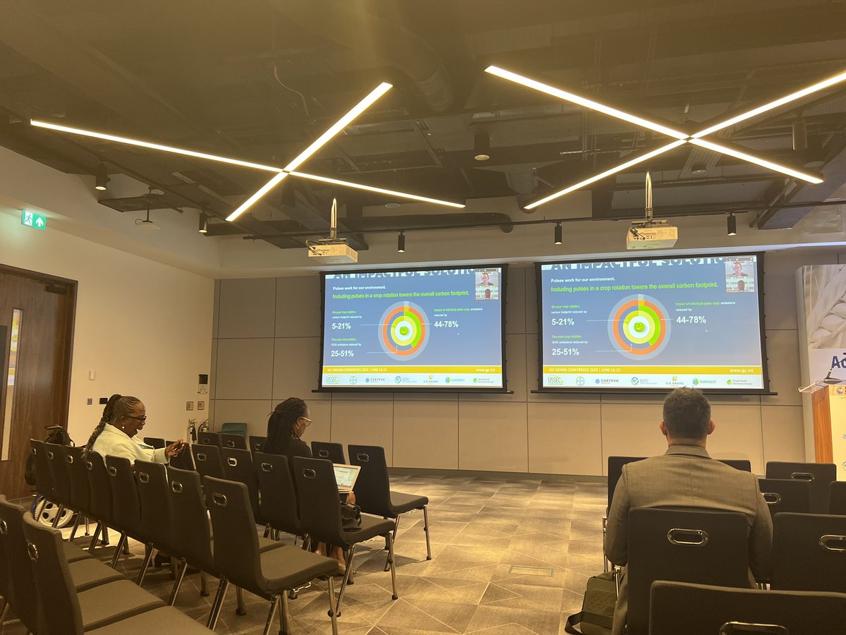 Emma Finn tweet media