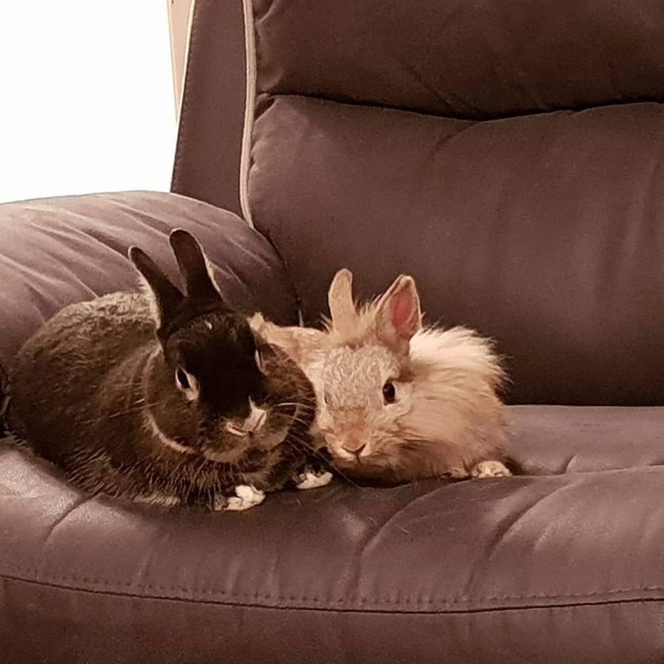 Hanna Rose tweet media