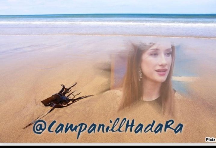 CampanillHadaRa's tweet photo. Tengo el corazón contento 
el corazón contento 
lleno de alegría 🎵🥁
Olé👏 vaya regalazo😍
Si quieres igual con tu nick y tu foto, escribe a @adarauva te dirá cómo conseguirlo🤭
Con Adara hasta el infinito y más allá 💜✈️
#AdaraSv13J y que no os asustes el martes 13 es Mágico ✨ https://t.co/DsoKebAK8I