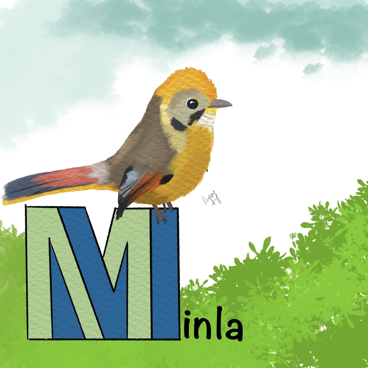 Day 13 and 14: Minlas and Nuthatchs of India
Illustration : Chestnut-Tailed Minla
Illustration : Velved-Fronted Nuthatch

#birds #aves #IndiAves #BirdTwitter #birdsofindia #art #illustration