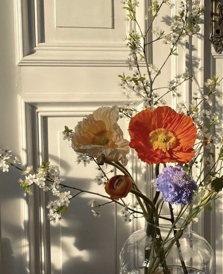 Cecily (@asadeec) on Twitter photo 