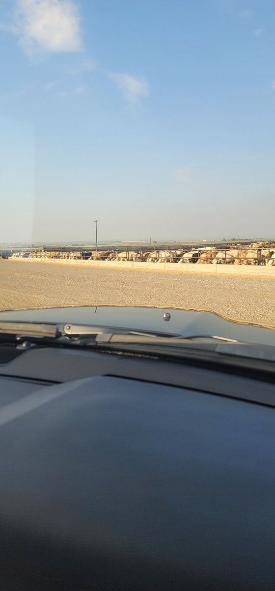 Yesterday we toured a feedlot in Alberta,very well managed building methane digester.