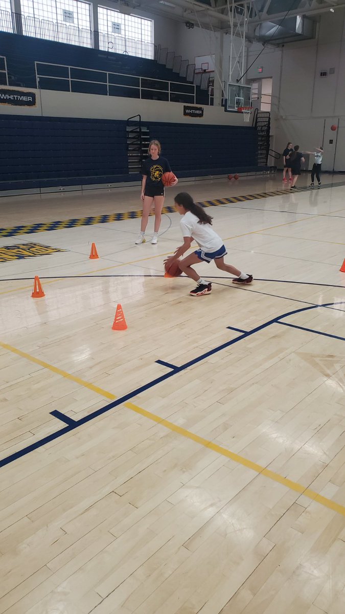 WhitmerGirlsBa1's tweet photo. 🐆🏀camp!!! https://t.co/paAa3eabp4
