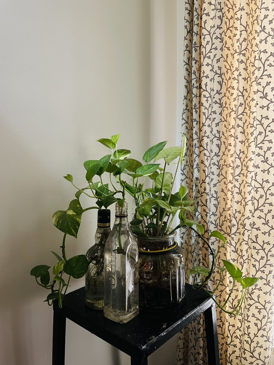 antara1706's tweet photo. Nothing ain’t happier than this corner in my living room https://t.co/3e2XFSVE4h