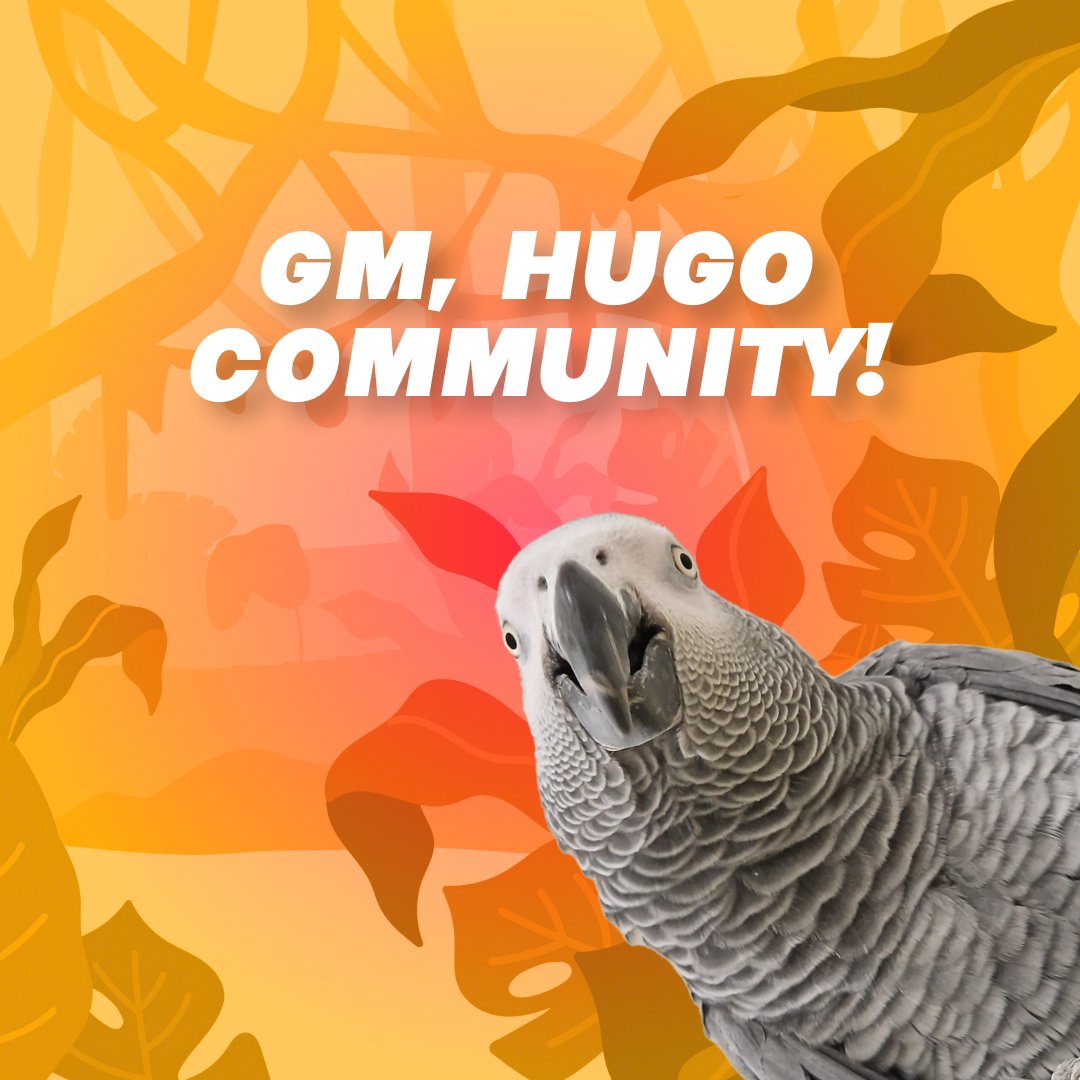 hugotheparrot's tweet photo. GM, Hugo community! π
Here's to another day of making a difference for African Grey Parrots. What's your motivation today?
Share with us!
#GoodMorning #HugoParrot https://t.co/BooGTyc1SA