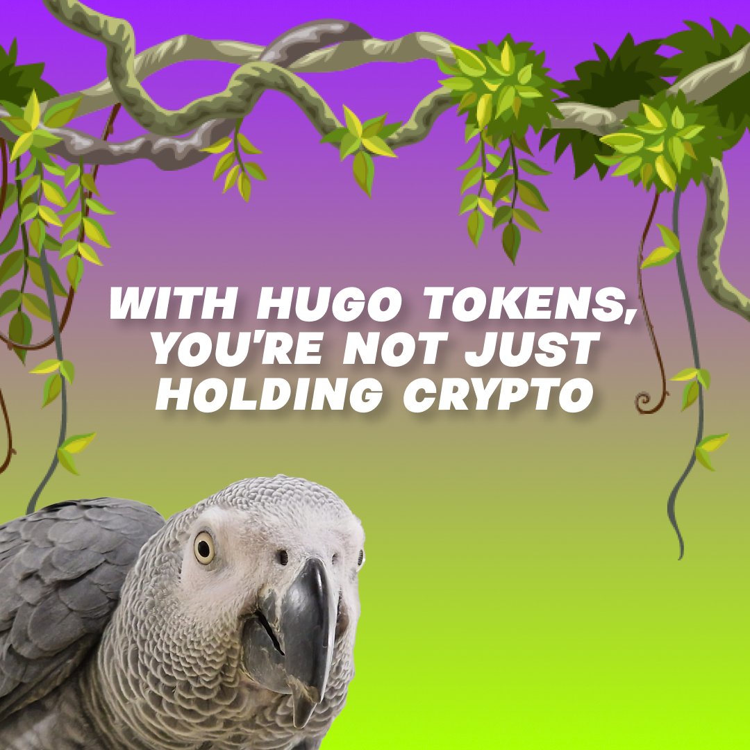 hugotheparrot's tweet photo. With Hugo Tokens, you're not just holding crypto - you're holding keys to exciting experiences! 

From playing NFT games to grabbing Hugo merchandise, there's so much to explore. Game on! 🎮🦜 

#HugoToken #NFTGames https://t.co/3Fpmkj1hKG