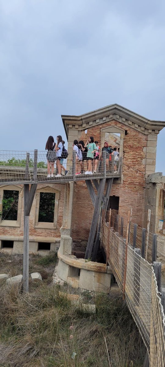escolamdcprat's tweet photo. Projecte 1rESO Ciència i Salut: caminar és molt bo... #escolamdc #mdcteam #Escolamdc #escolamdcprat #mdcprat https://t.co/xnwKk32euF