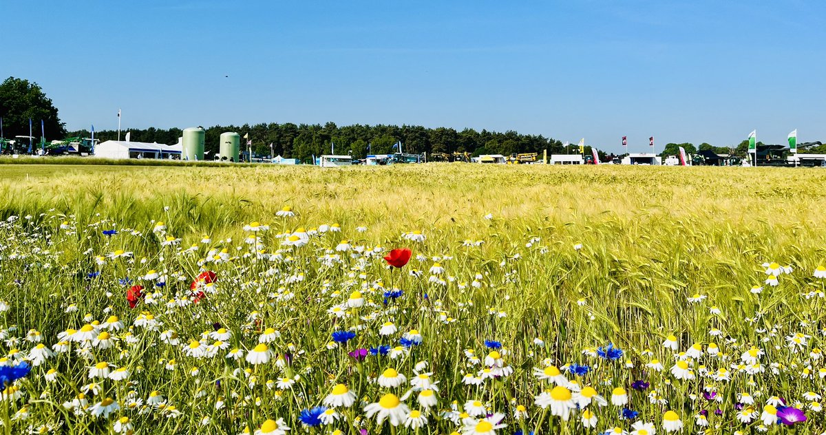 Harper Adams On Tour (@harperontour) on Twitter photo Proud to be #EducationPartner <a href="/CerealsEvent/">Cereals Event</a> taking place today and tomorrow. Come and chat to the team on stand 908 about degree and short courses, research, industry placements and much more. <a href="/systems_spray/">Auto Spray Systems</a> #HarperonTour Proud to be #EducationPartner <a href="/CerealsEvent/">Cereals Event</a> taking place today and tomorrow. Come and chat to the team on stand 908 about degree and short courses, research, industry placements and much more. <a href="/systems_spray/">Auto Spray Systems</a> #HarperonTour