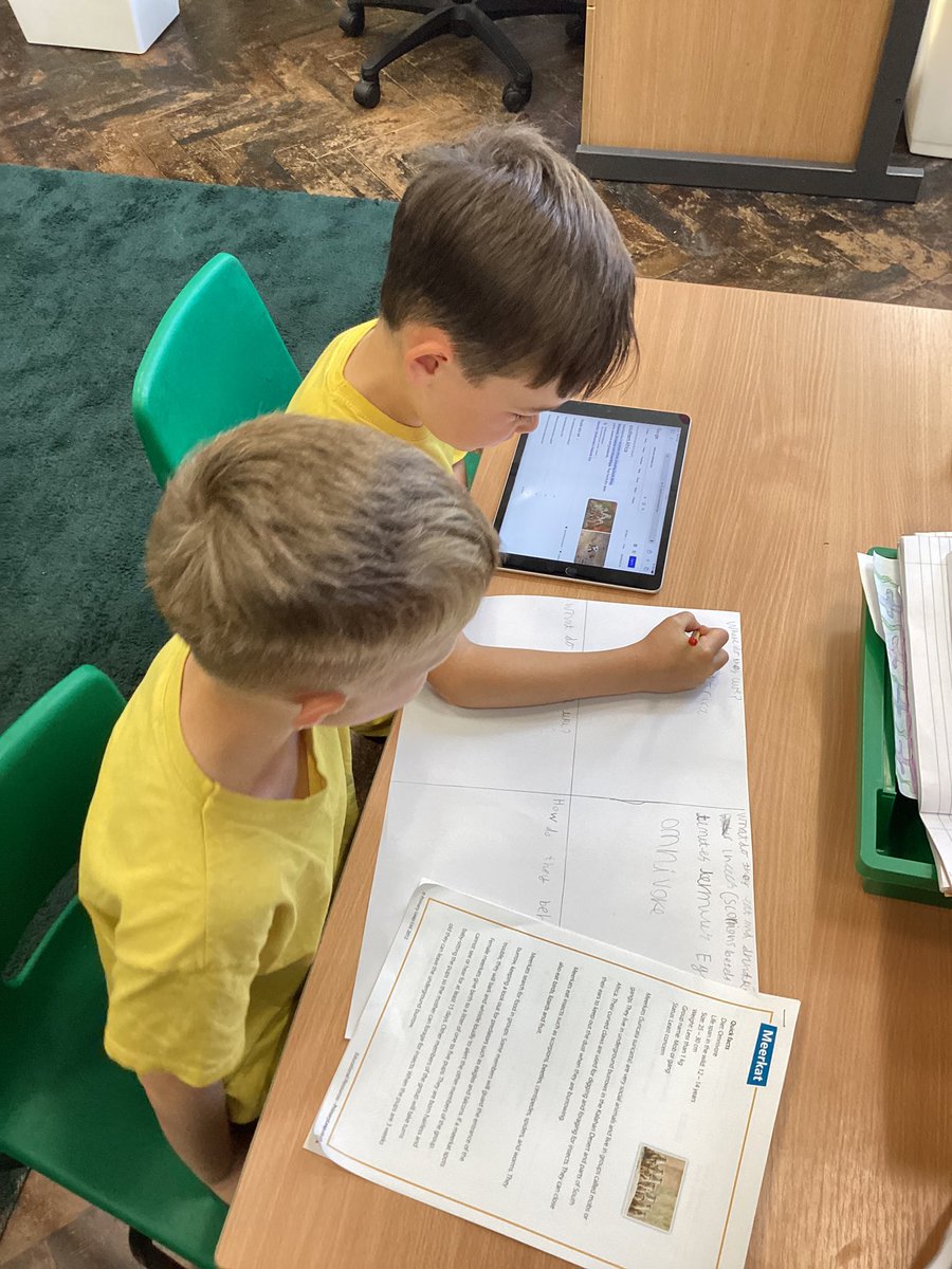 Year2Markeaton's tweet image. We are busy researching meerkats for a report for the Year 1s. Do you know what they look like? What they eat? Where they live? #MPSEnglish #MPSWriting #MPSComputing #MPSGeography