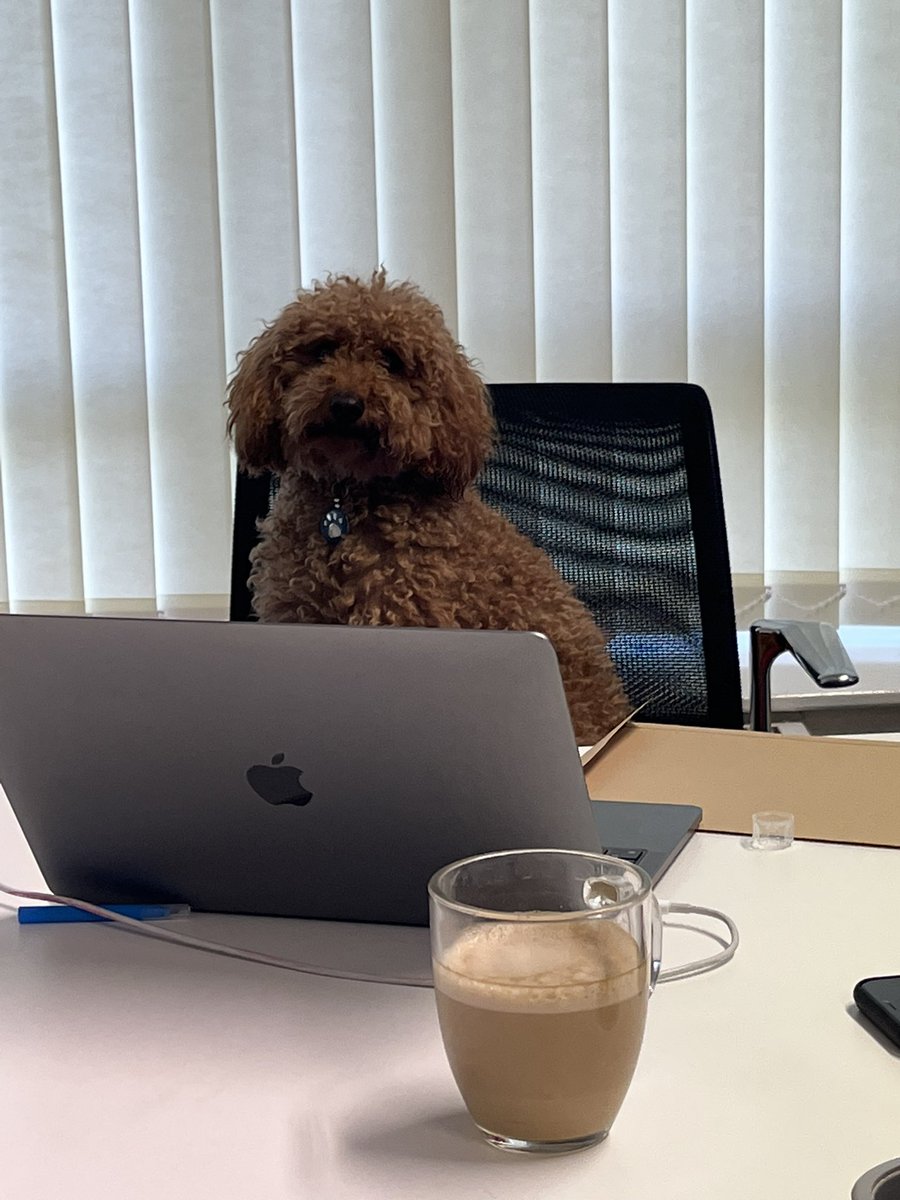 Teach Me Happy (@teachmehappyap) on Twitter photo Busy day in the classroom for Norman #ThisisAP #alternativeprovision Busy day in the classroom for Norman #ThisisAP #alternativeprovision