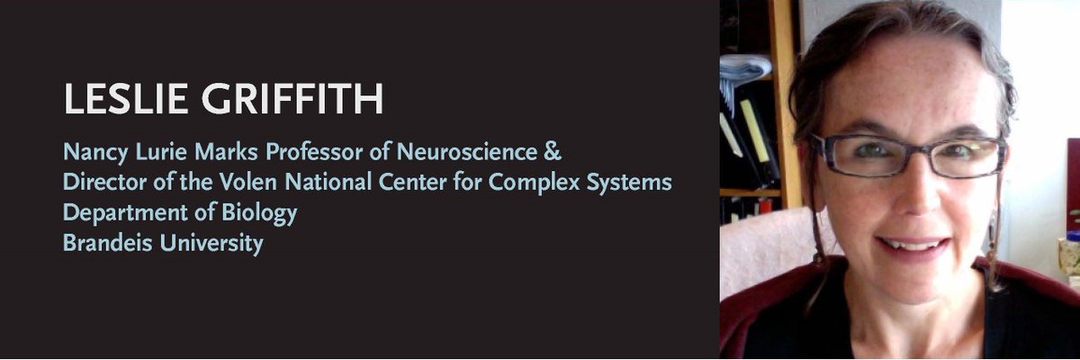 Collaborative Research Center 1315 (@sfb1315) on Twitter photo Join us today at BCCN at 4 pm (or on ZOOM) for our June lecture with <a href="/GriffithFlyLab/">Real Houseflies of Brandeis</a>, hosted by <a href="/OwaldD/">David Owald</a> #SFB1315, sfb1315.de/events/local-s… Join us today at BCCN at 4 pm (or on ZOOM) for our June lecture with <a href="/GriffithFlyLab/">Real Houseflies of Brandeis</a>, hosted by <a href="/OwaldD/">David Owald</a> #SFB1315, sfb1315.de/events/local-s…