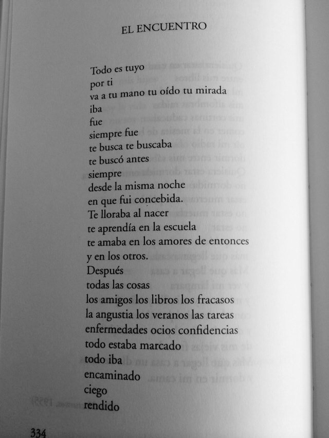 Centzon's tweet image. El Encuentro.