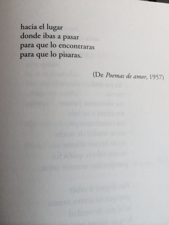 Centzon's tweet image. El Encuentro.