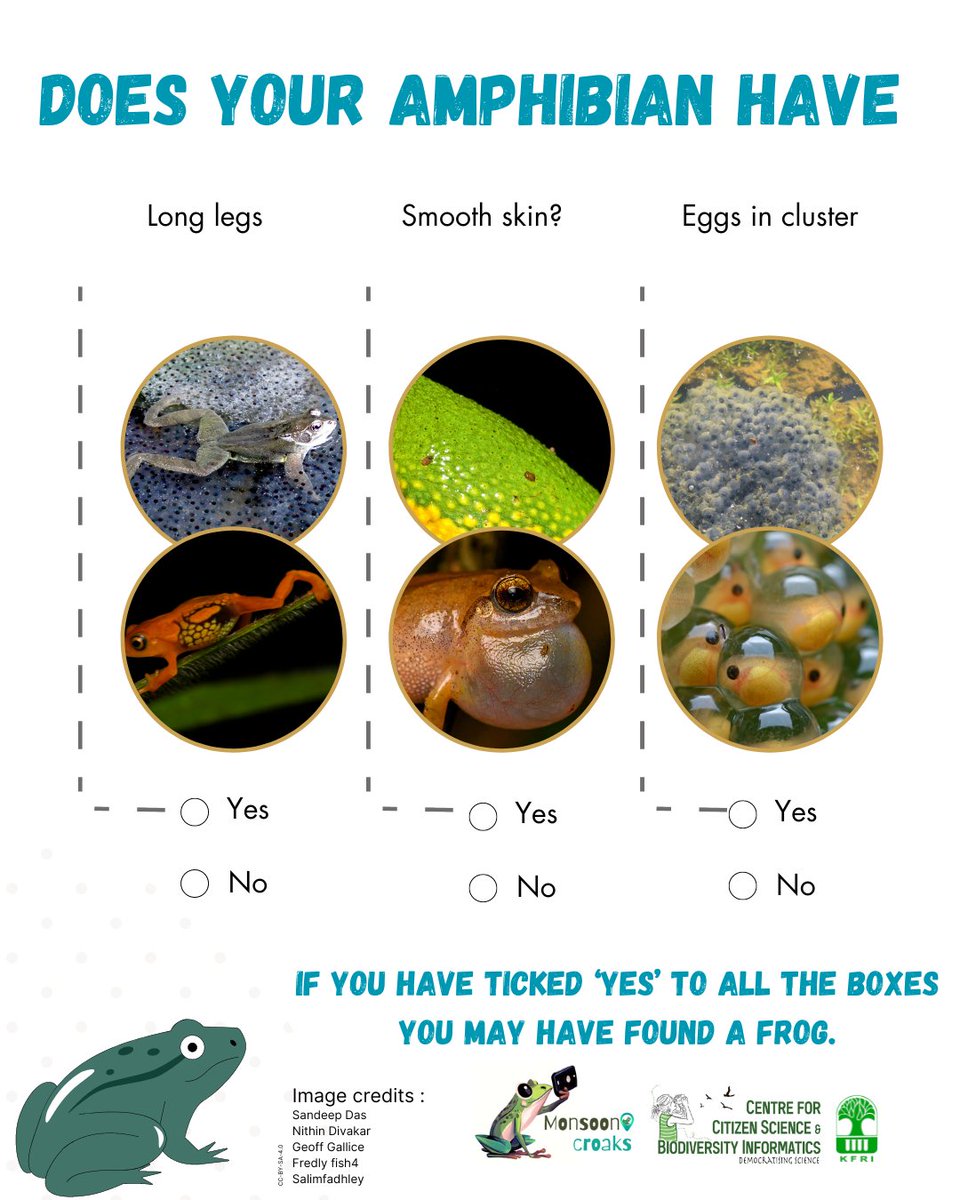 Let's start mapping Frogs!
#monsooncroaks #inaturalist #monsoon #frog #frogconservation #amphibian #citizenscience #centreforcitizenscienceandbiodiversityinformatics #kfri #frog
#toad
#amphibian
#frogidentification
#toadidentification
#frogfacts
#toadfacts
#herpetology