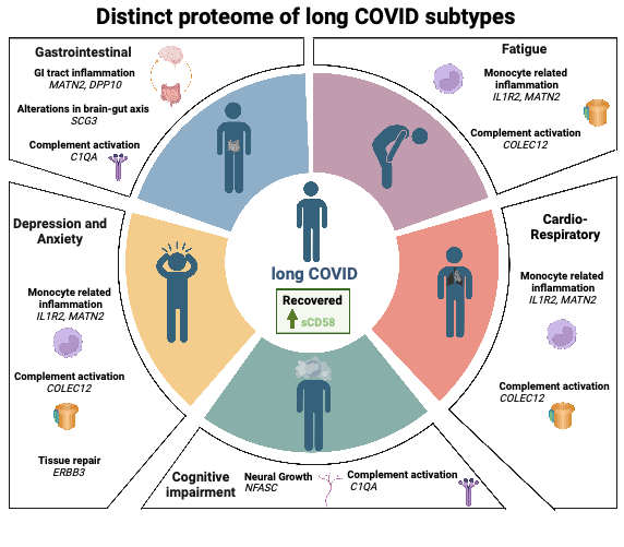 Excited to share our latest preprint from @PHOSP_COVID finding inflammatory profiles associated with certain #LongCovid symptoms. A step towards understanding disease mechanisms and working towards targeted treatments @p_openshaw @InThwaiteImmune @ClaudEfstathiou  @REvans_Breathe