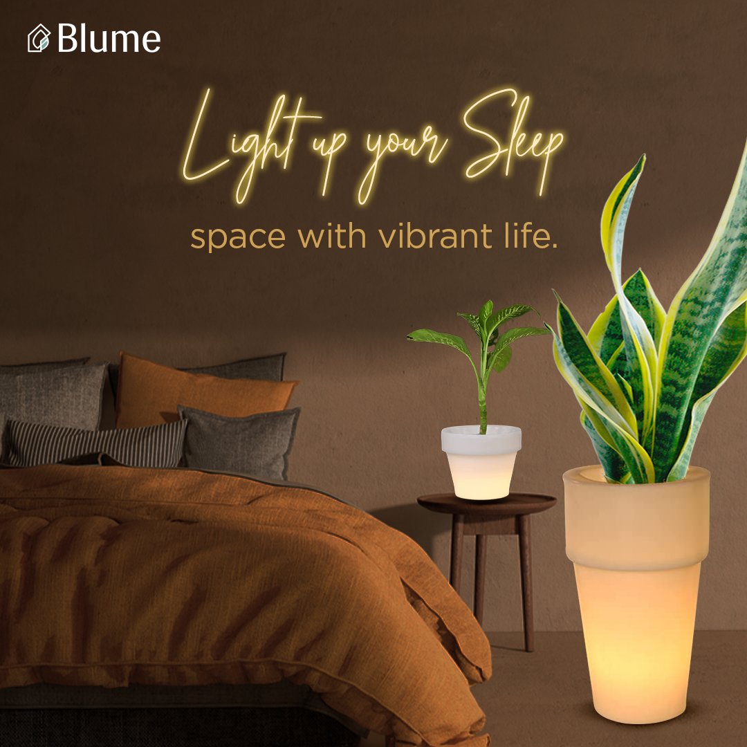 Illuminate your sleep space with vibrant life. Nurture Your Sleep with Nature's Presence. Let nature's light guide your dreams. ✨🌿

#greenery
#greendecor  #Blumeplanters